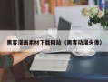 柳林黑客漫画素材下载网站（黑客动漫头像）