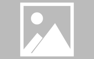 柳林网页设计师周记（网页设计周记26篇300字）
